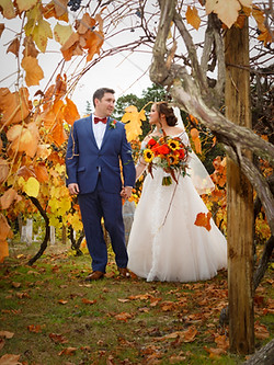 Bride and groom amid autumn leaves at vineyard