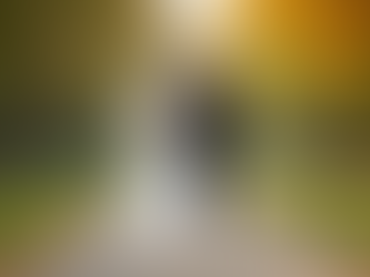 David Eric Photography's Services in NJ