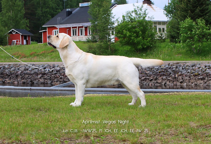 Teppo3.jpg