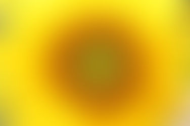 残暑お見舞い申し上げます