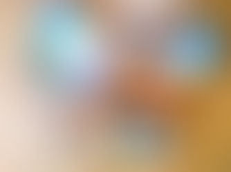 送る会・球納めに贈る記念の写真額やＤＶＤ等承っております