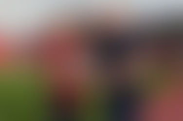 Cuanto Gana El Chicharito Hernández?