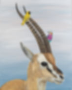 Thumbnail: Adorned