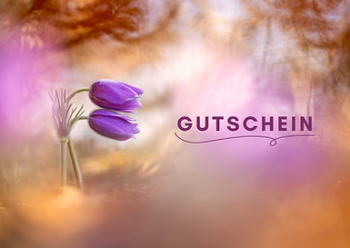 Gutschein