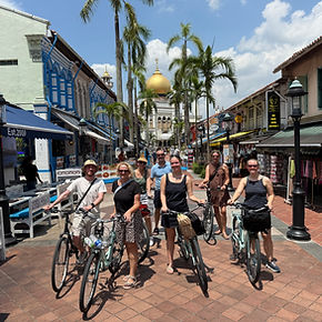 Singapore city bike tour.jpeg