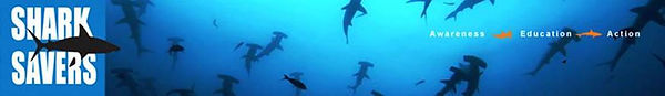 shark savers.jpg