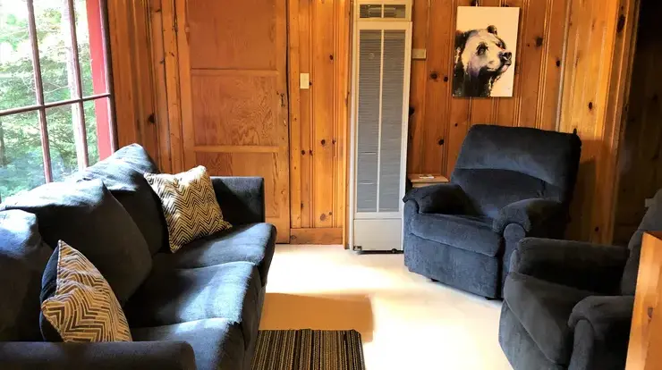 Bear Cave - Living Room