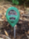 ree