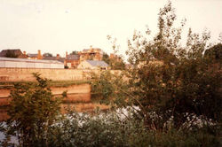 COUNCIL YARD FROM ISLAND..jpg