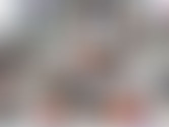 MINISTRO DA DEFESA PARTICIPA DE PLENÁRIA DO SIMDE/DESEG-FIESP COM FOCO NO FINANCIAMENTO SETORIAL