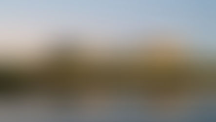 Stadiums Queensland Customer Research