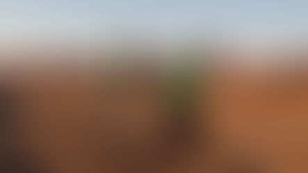 Tuckombil Quarry Site Opportunities Assessment