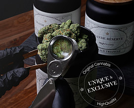Visu_1_1_Grande Reserve-V2.jpg
