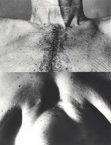 Körper [Corps] - Tina Bara I FOTOHAUS BORDEAUX