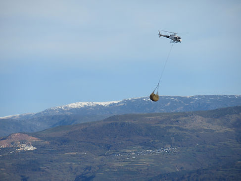 Helimulchig_Vilariño.JPG
