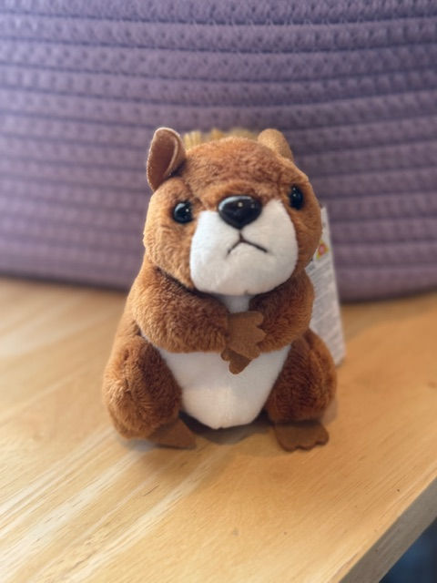 Finger Puppet- Red Squirrel  The Snug Peanut