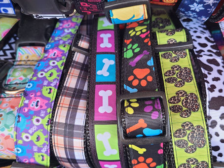 Handmade Dog Collars | Bumblebee Collars & More at The Lantern Boutique