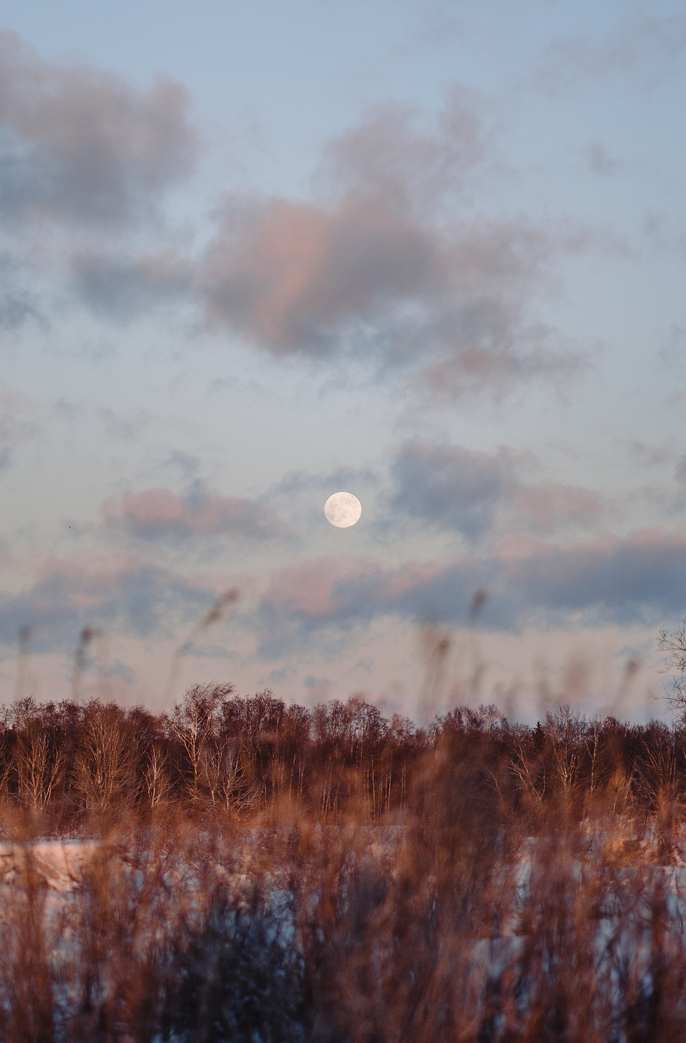 Moonlight and magic