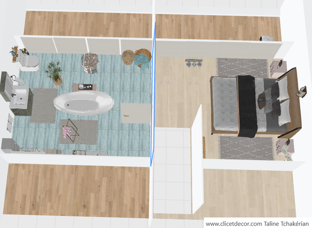 plan vue 3D de haut.PNG