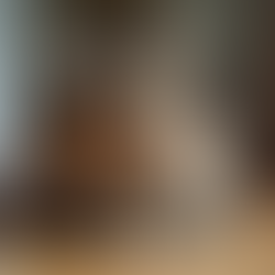 How Maine Coons Compare in Size to Other Cats