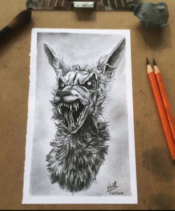 Wolf