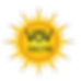 vsv png.png