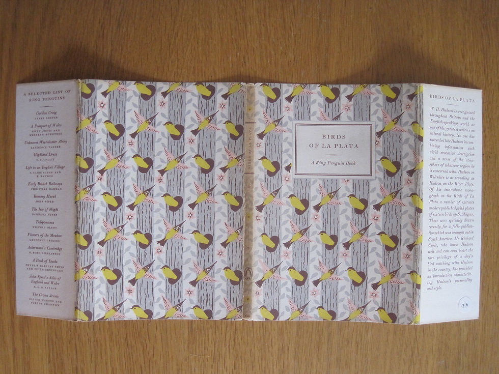 Thumbnail: Birds of La Plata  by  W. H. Hudson