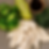 Clean Organic Chicken