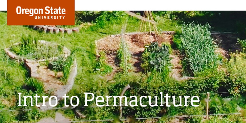 Free! Introduction to Permaculture Online Class