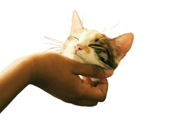 unsplash_GtwiBmtJvaU.png