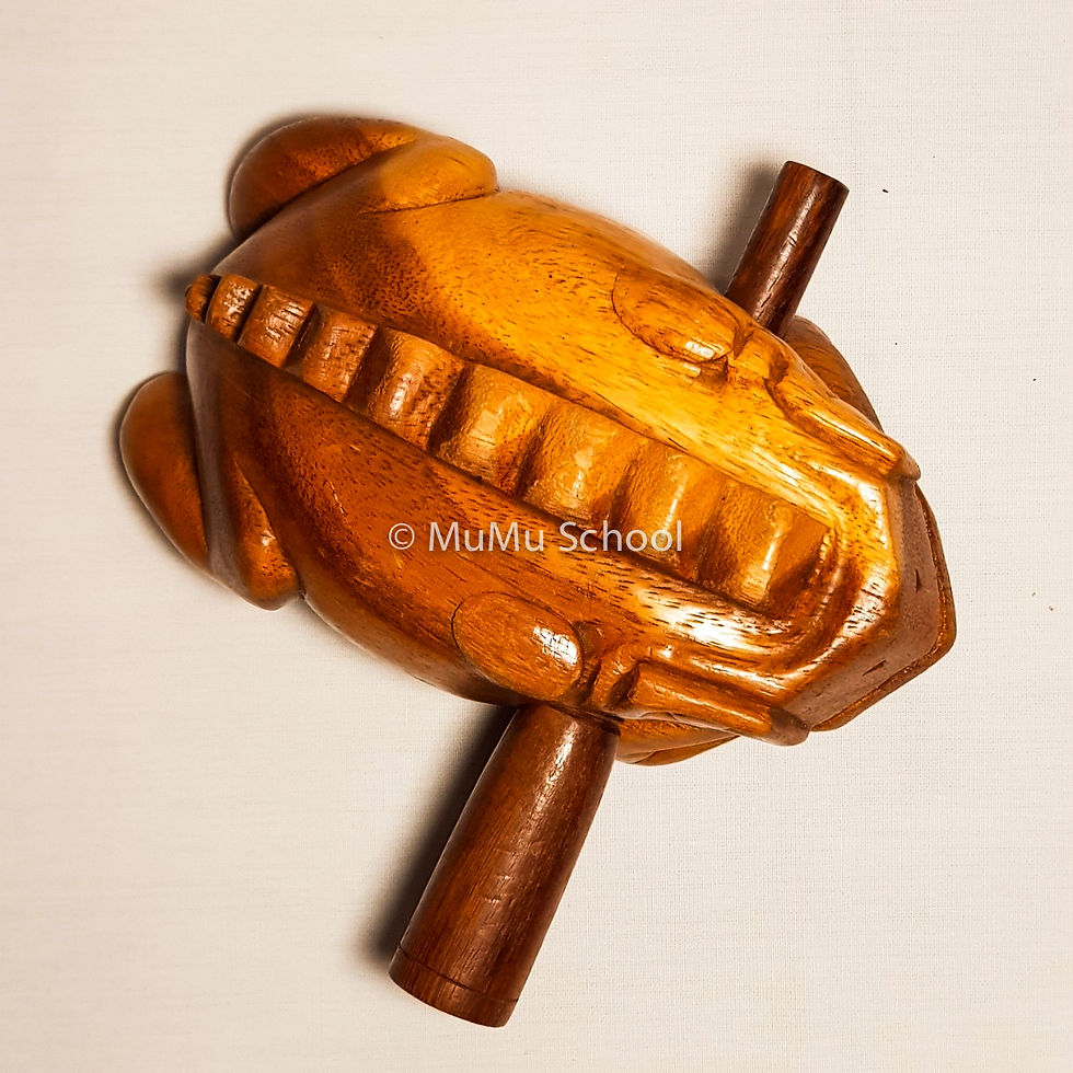 縮圖：世界樂器-雨蛙