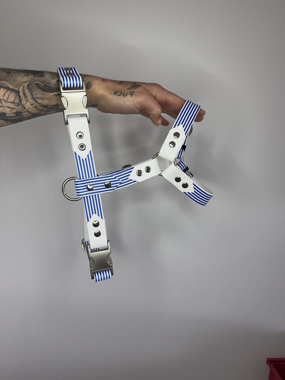 Miniature : Harnais réglable