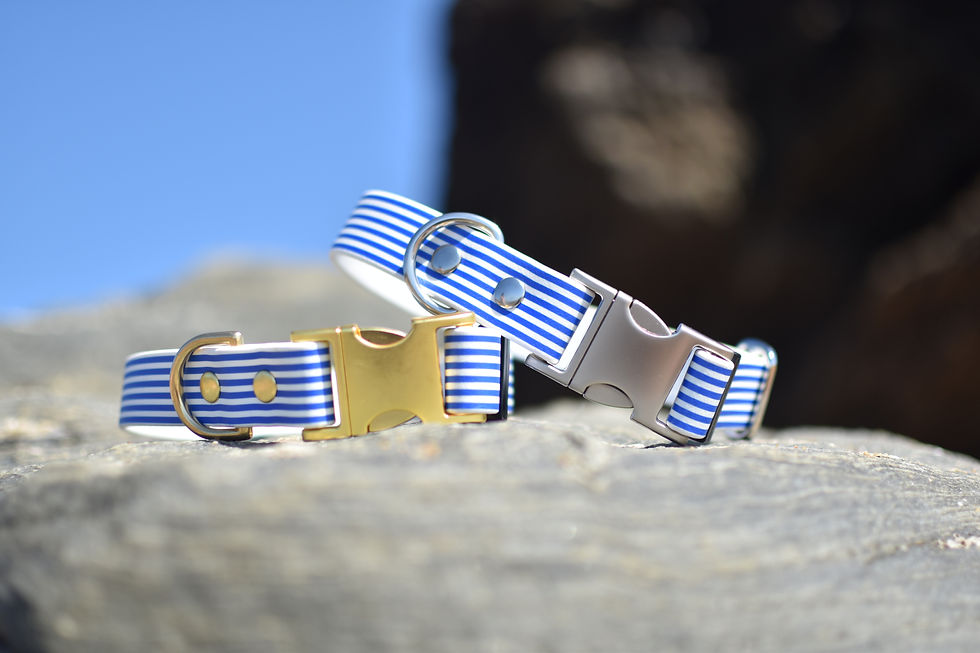 Miniature : Le Baulois