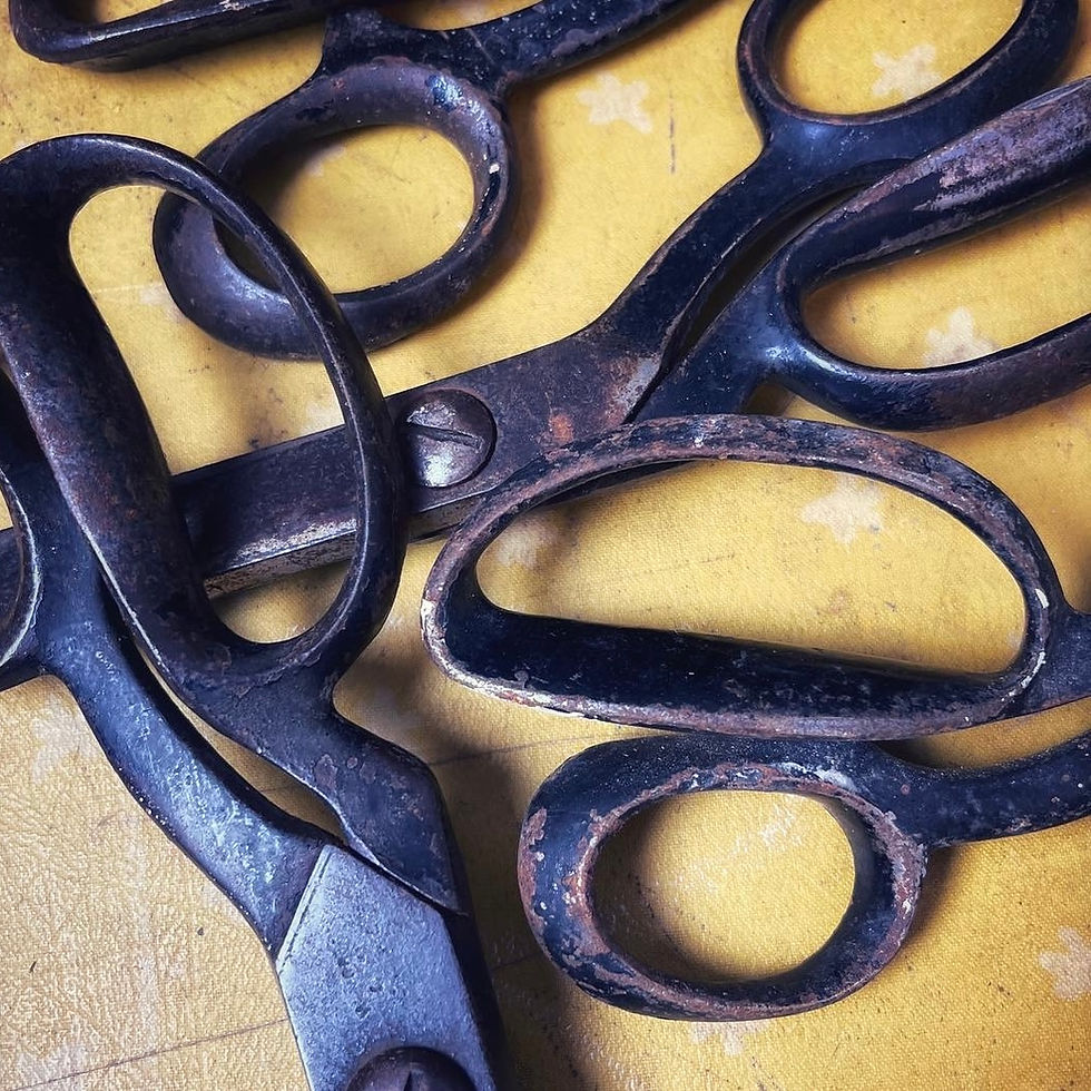 Thumbnail: Collection of Four Vintage Steel Tailors Scissors 