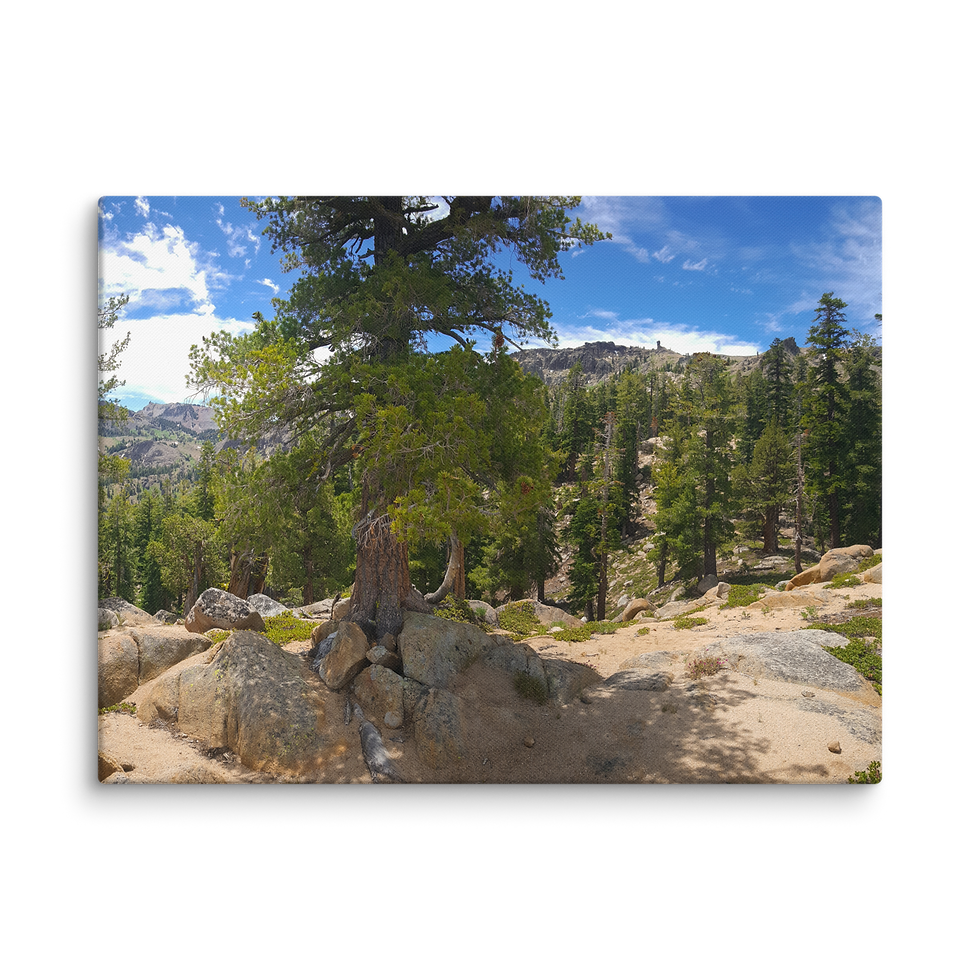 Thumbnail: 67EX Ebbetts Pass 11 A3 Canvas