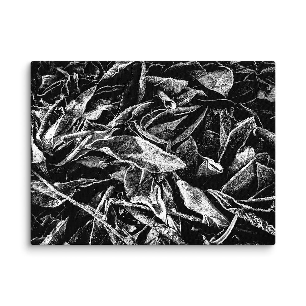 Thumbnail: 318. Ink Canvas