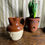 Thumbnail: Stoneware Jug