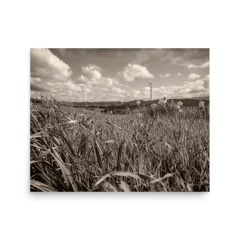Thumbnail: 32. SMS 2019 Print