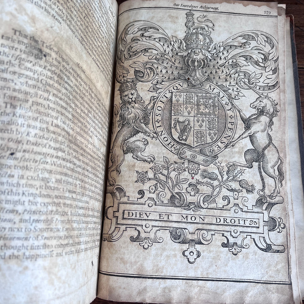 Thumbnail: A Display of Heraldie 1611