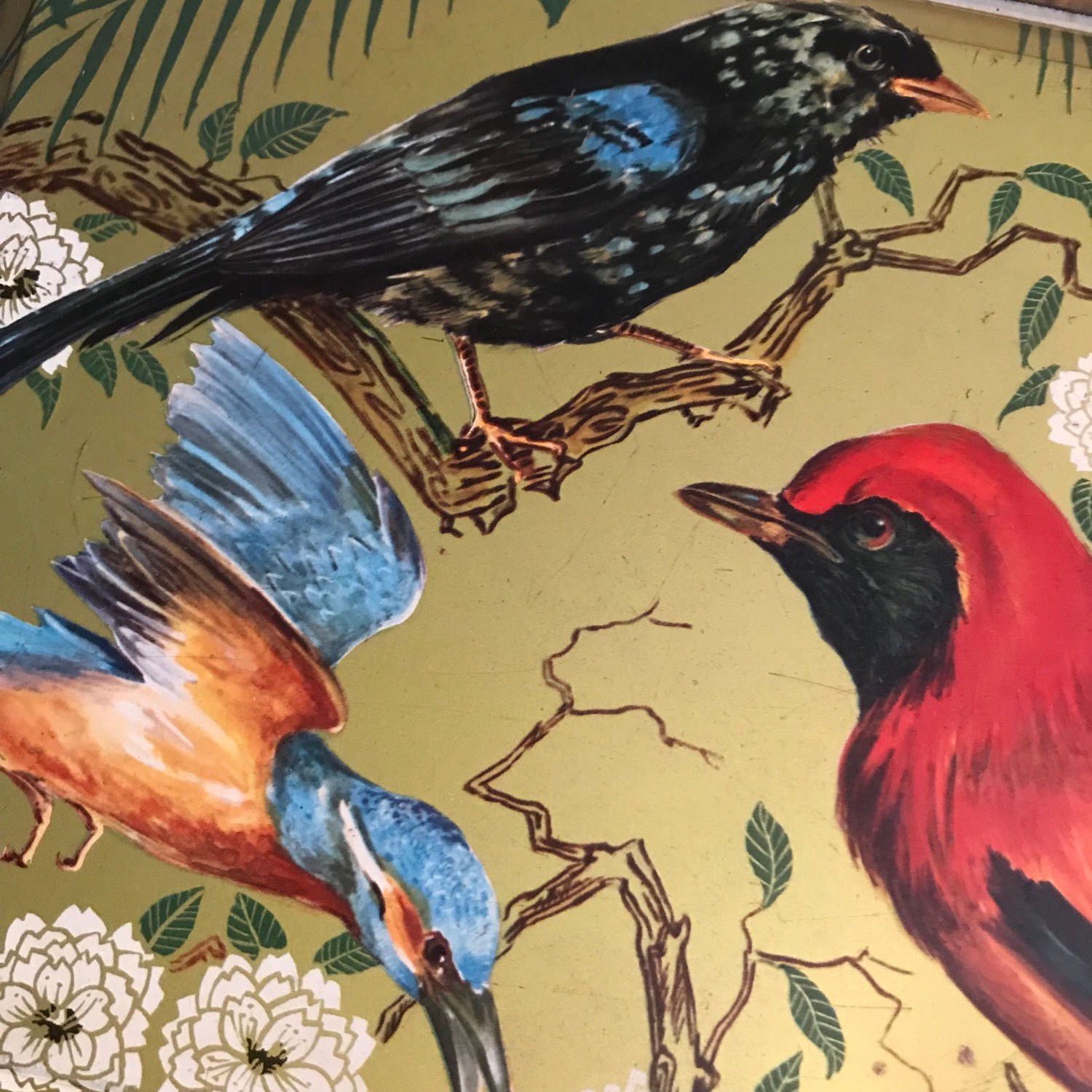 Large 1930’s Painted Bird Tin 