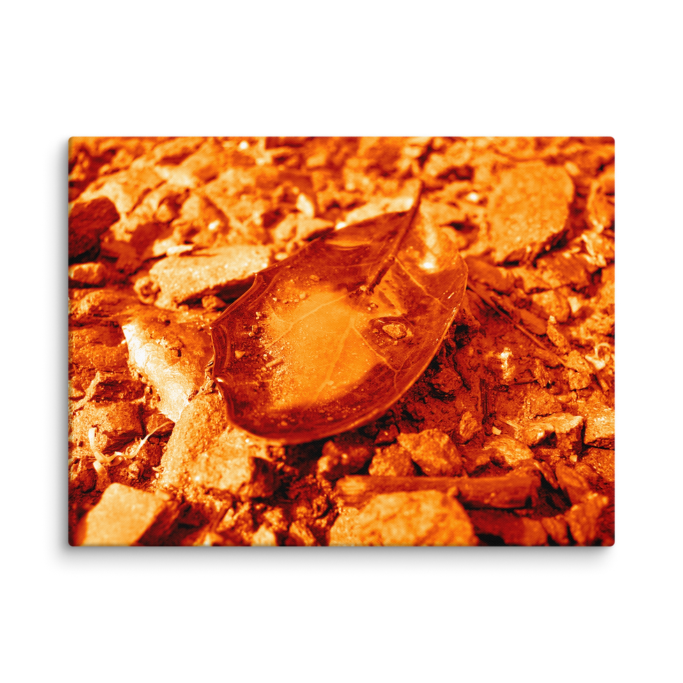 Thumbnail: 123. Carry the water MARS Canvas