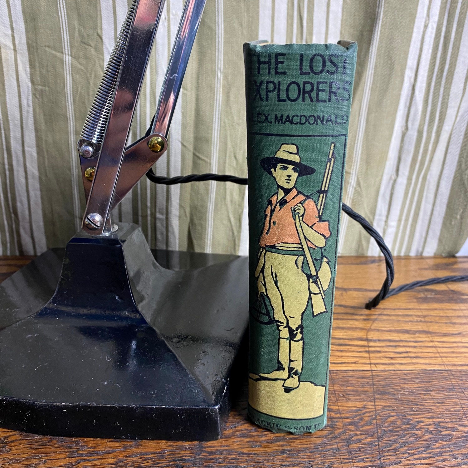 The Lost Explorers Victorian Hardback