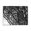Thumbnail: 82. B.C. Canvas