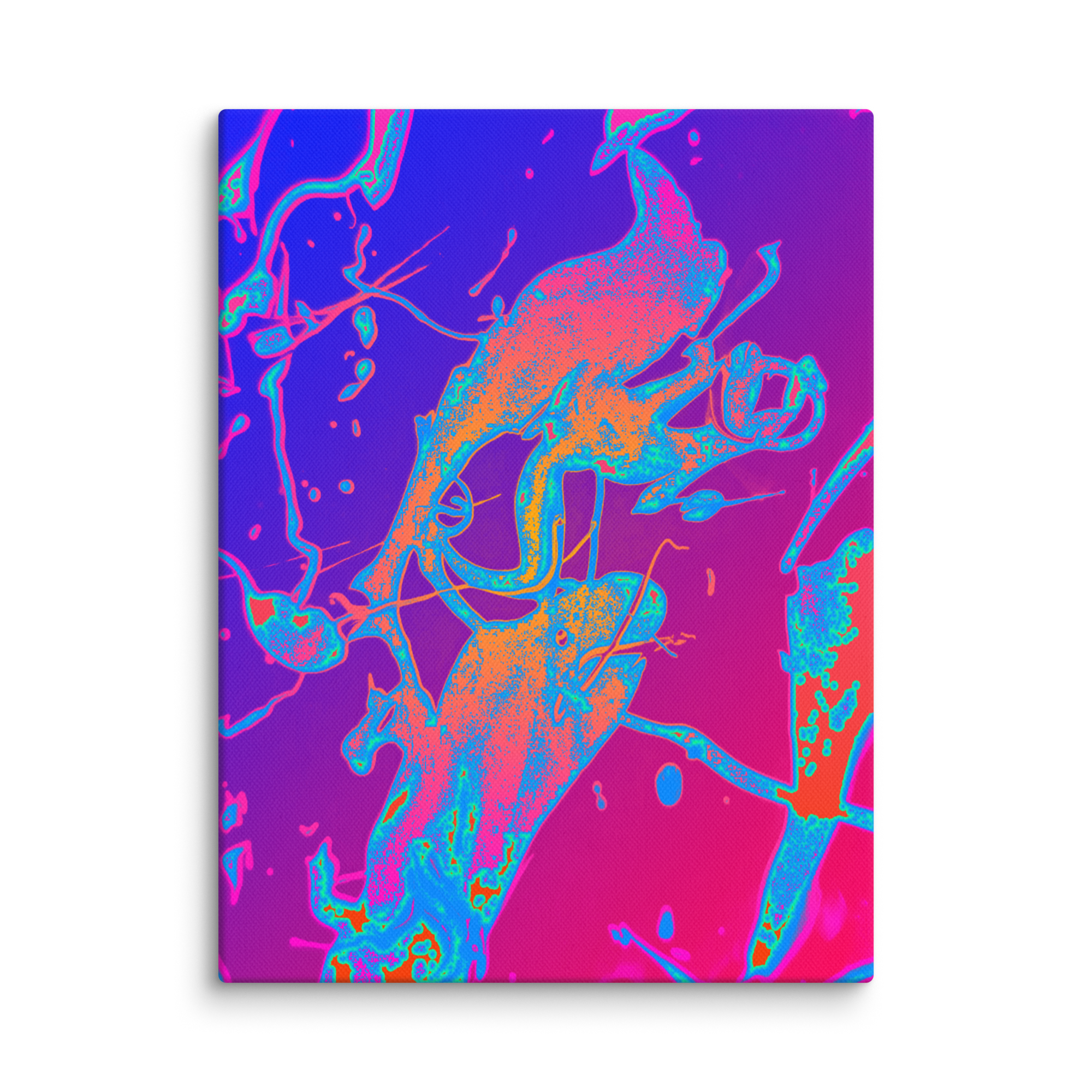 XJ25 Altered Swirl Canvas