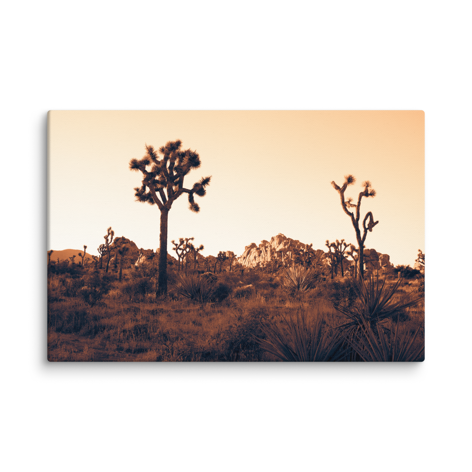 JT 101024 18 Copper540 Canvas