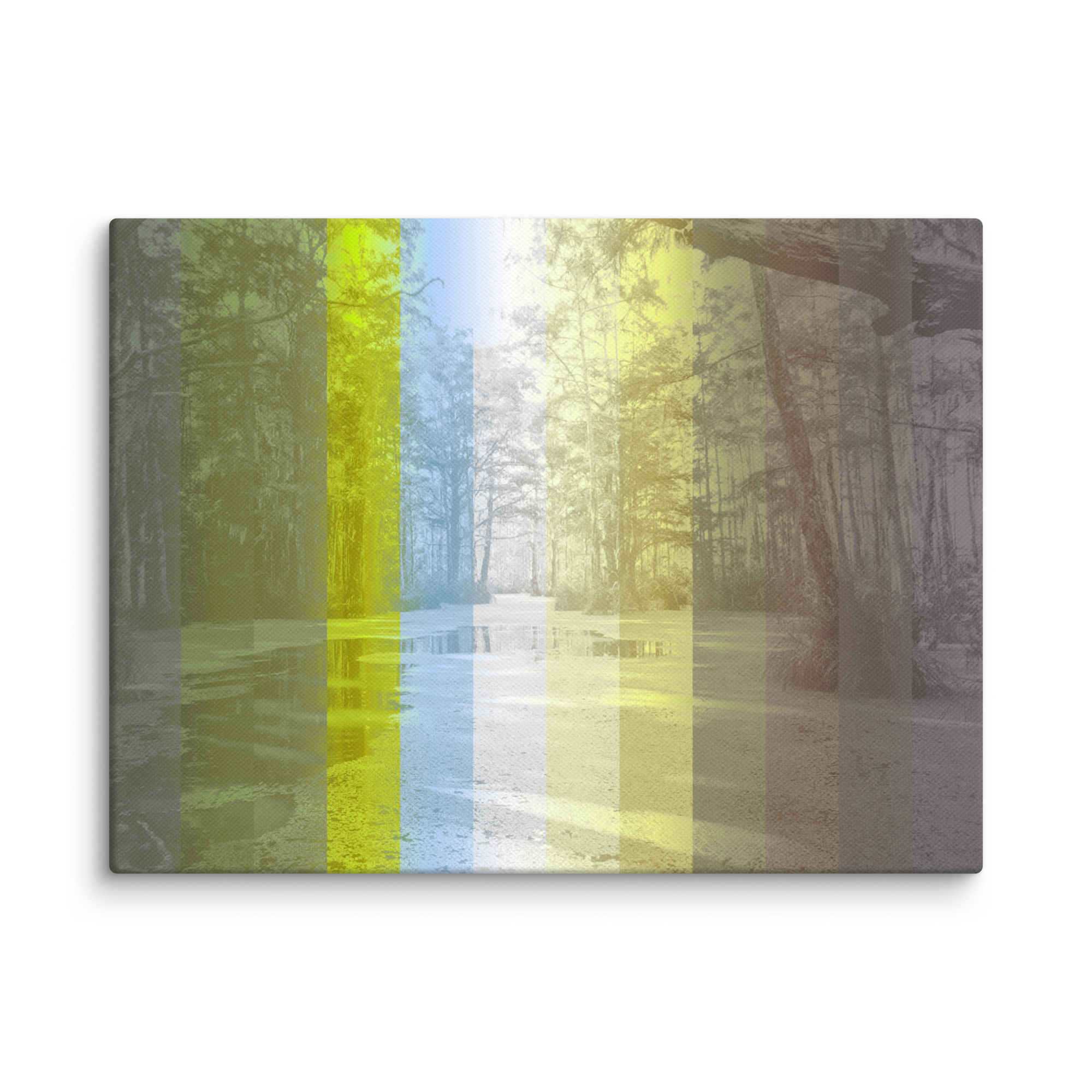 Nola Bayou 2 ColorSeg Canvas