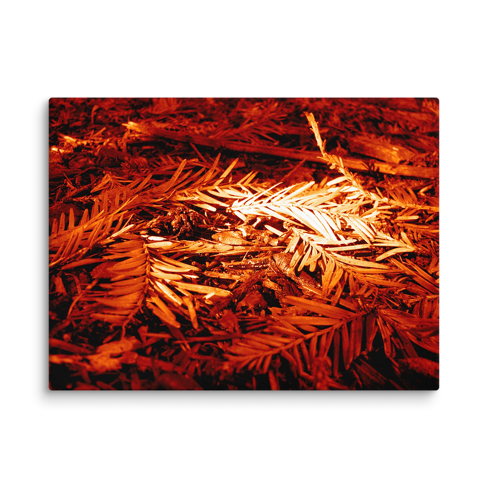 Thumbnail: 117. Glow II MARS Canvas