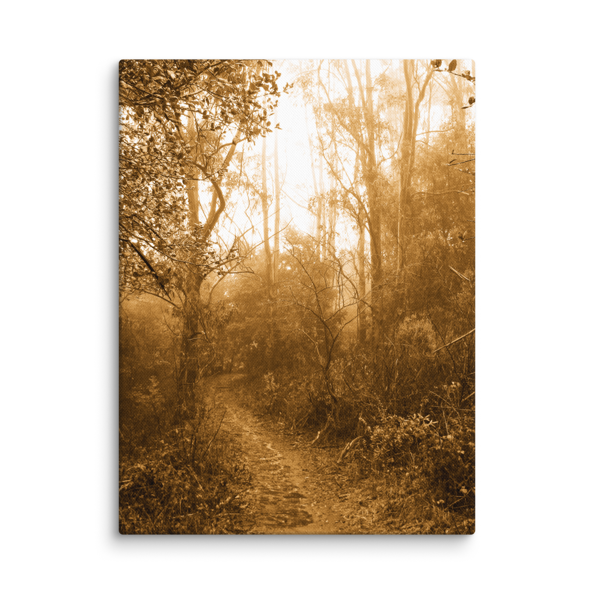 99. Inca Gold Canvas