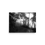 Thumbnail: 71. B.C. Print