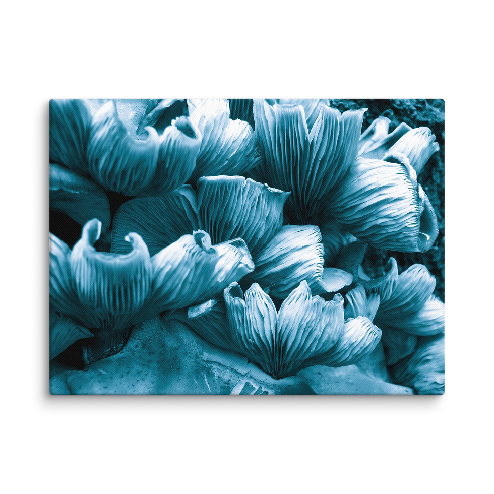 Thumbnail: 292. Venus Canvas